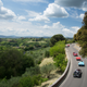 Illustration for article titled This Was Jaguar At The Mille Miglia